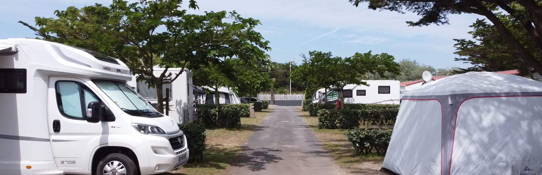 Camping Club Mahana : Allee Emplacements Camping Car Carvane Tente Emplacement Camping Mahana Bord De Mer Saint Hilaire De Riez